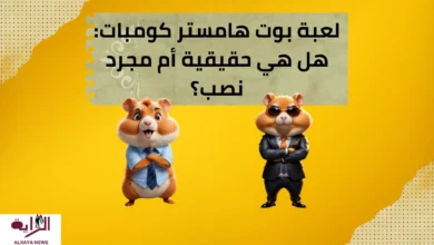 لعبة بوت هامستر كومبات